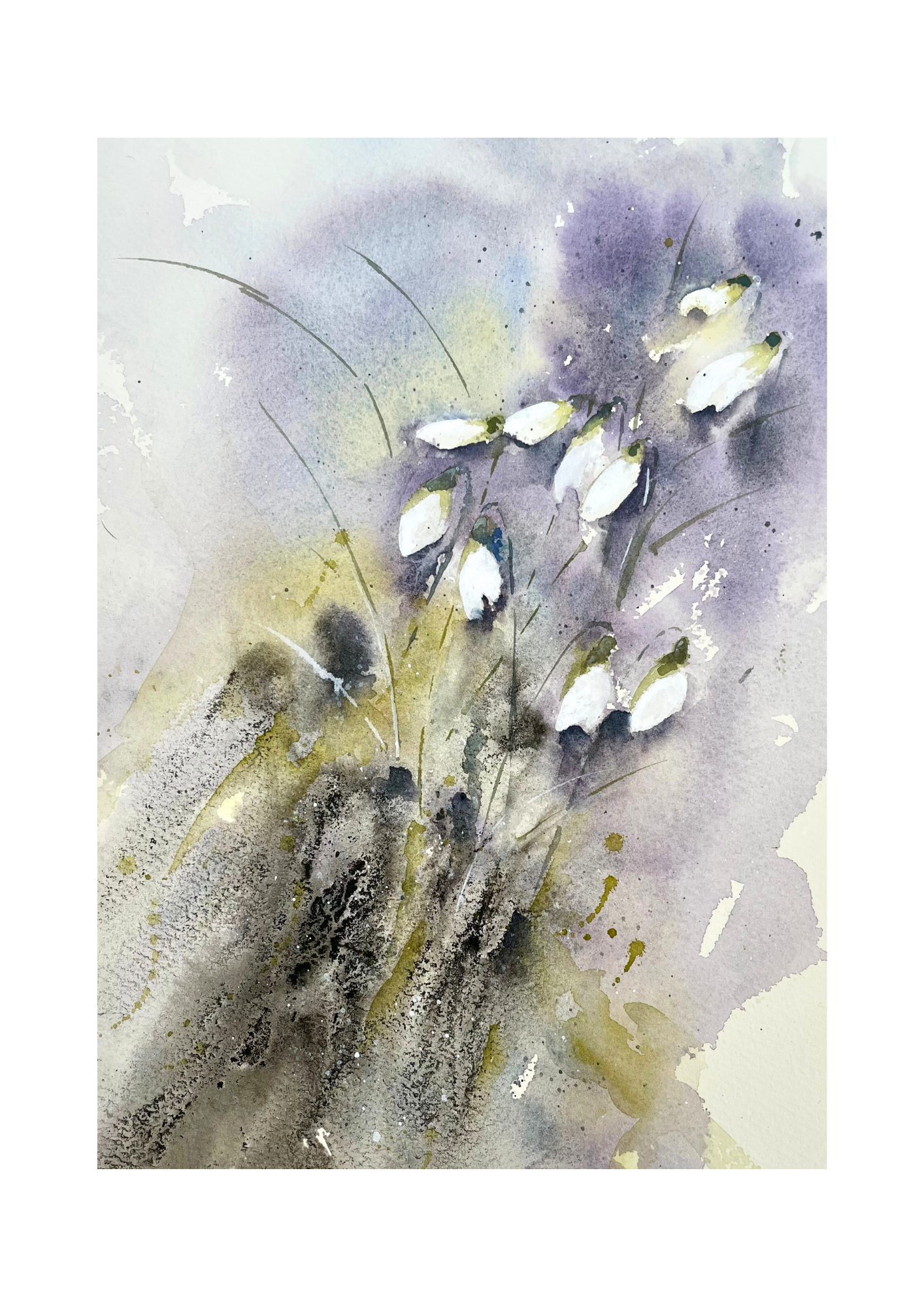 Snowdrops Lilac