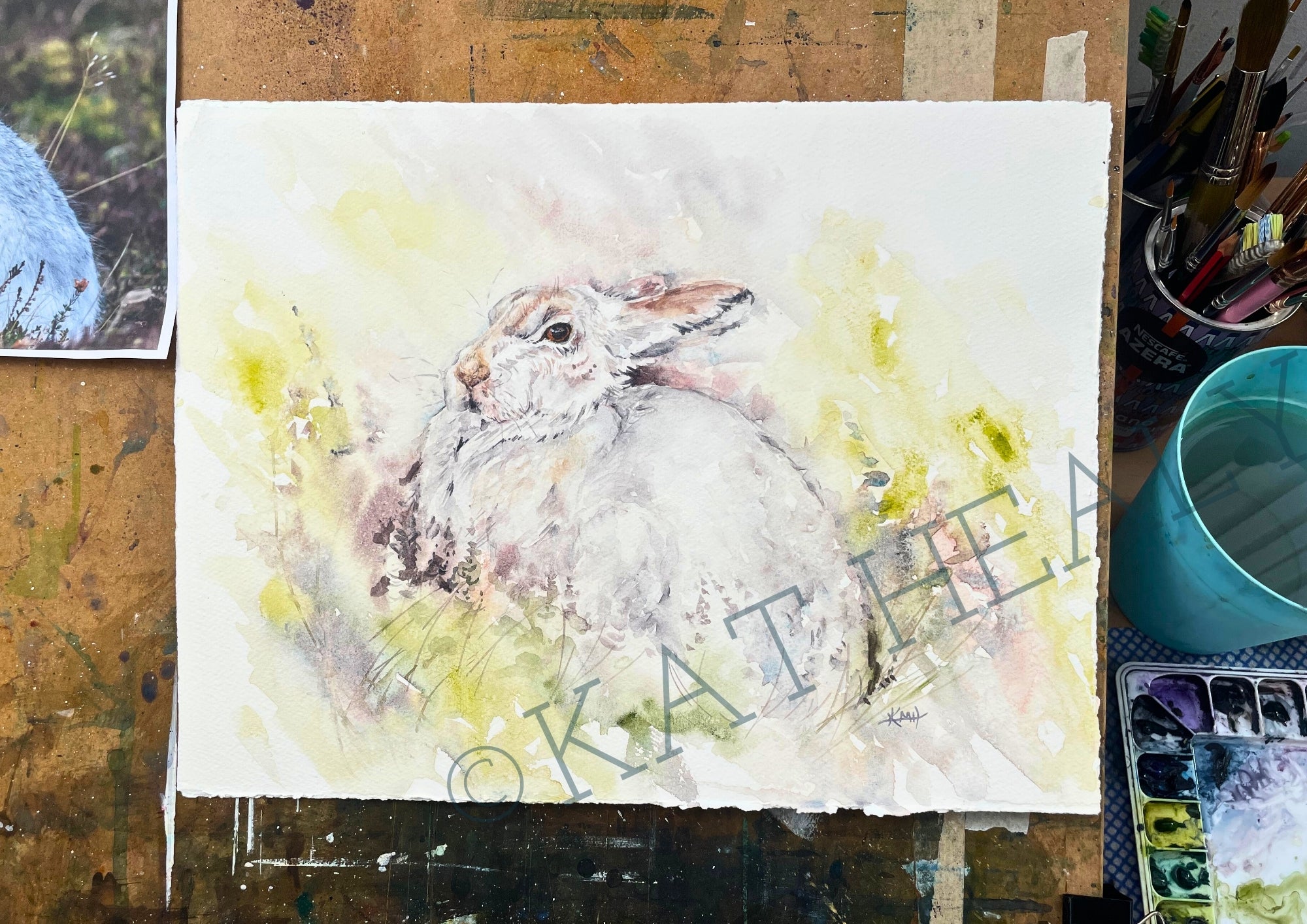 MOUNTAIN HARE - Watercolour Study 2