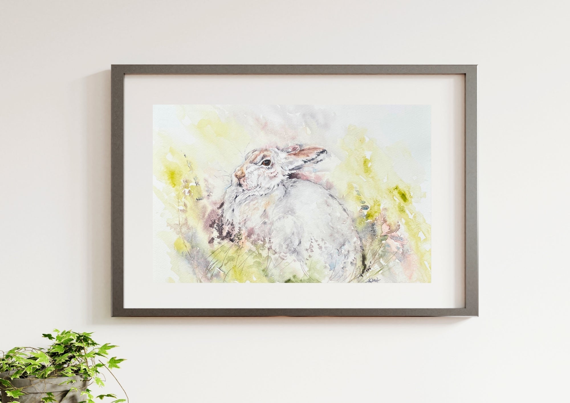 MOUNTAIN HARE - Watercolour Study 2