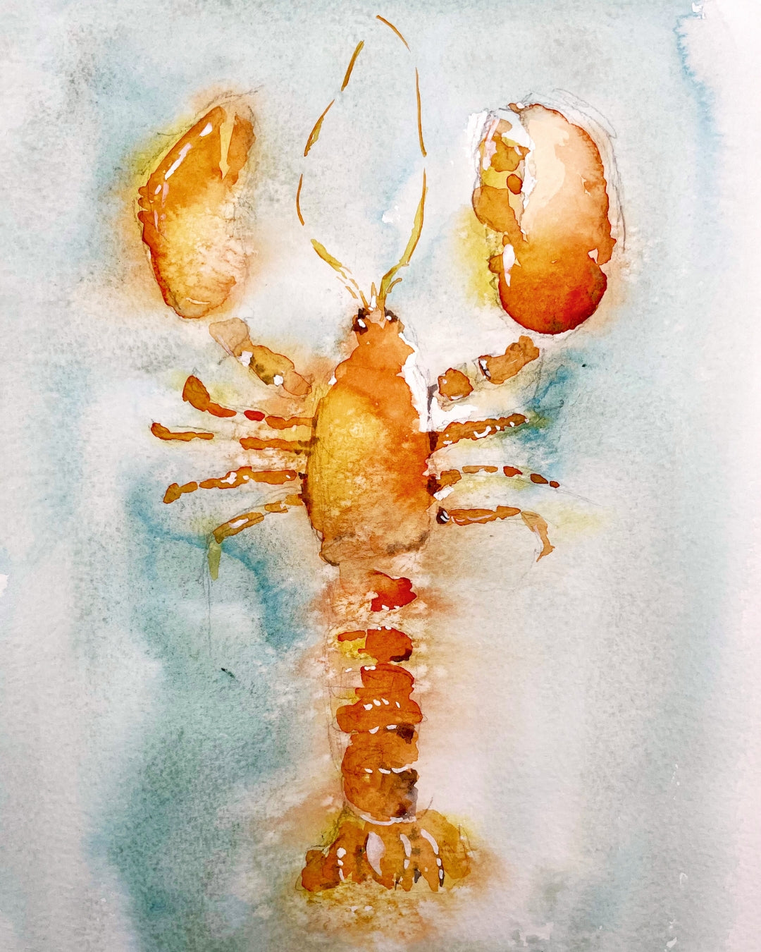 OCT 5th - Inspired by the Sea – Watercolour Workshops, North Berwick (Luminous Lobsters & Crustaceans)