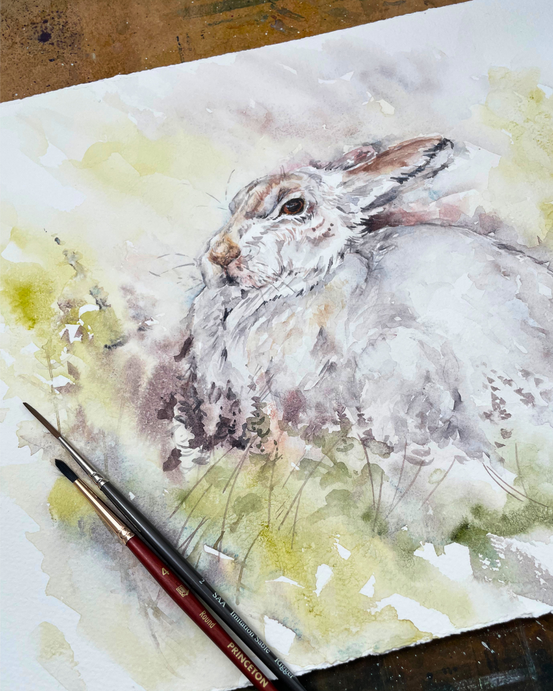 Atmospheric Animals - Watercolour Workshops - 2025