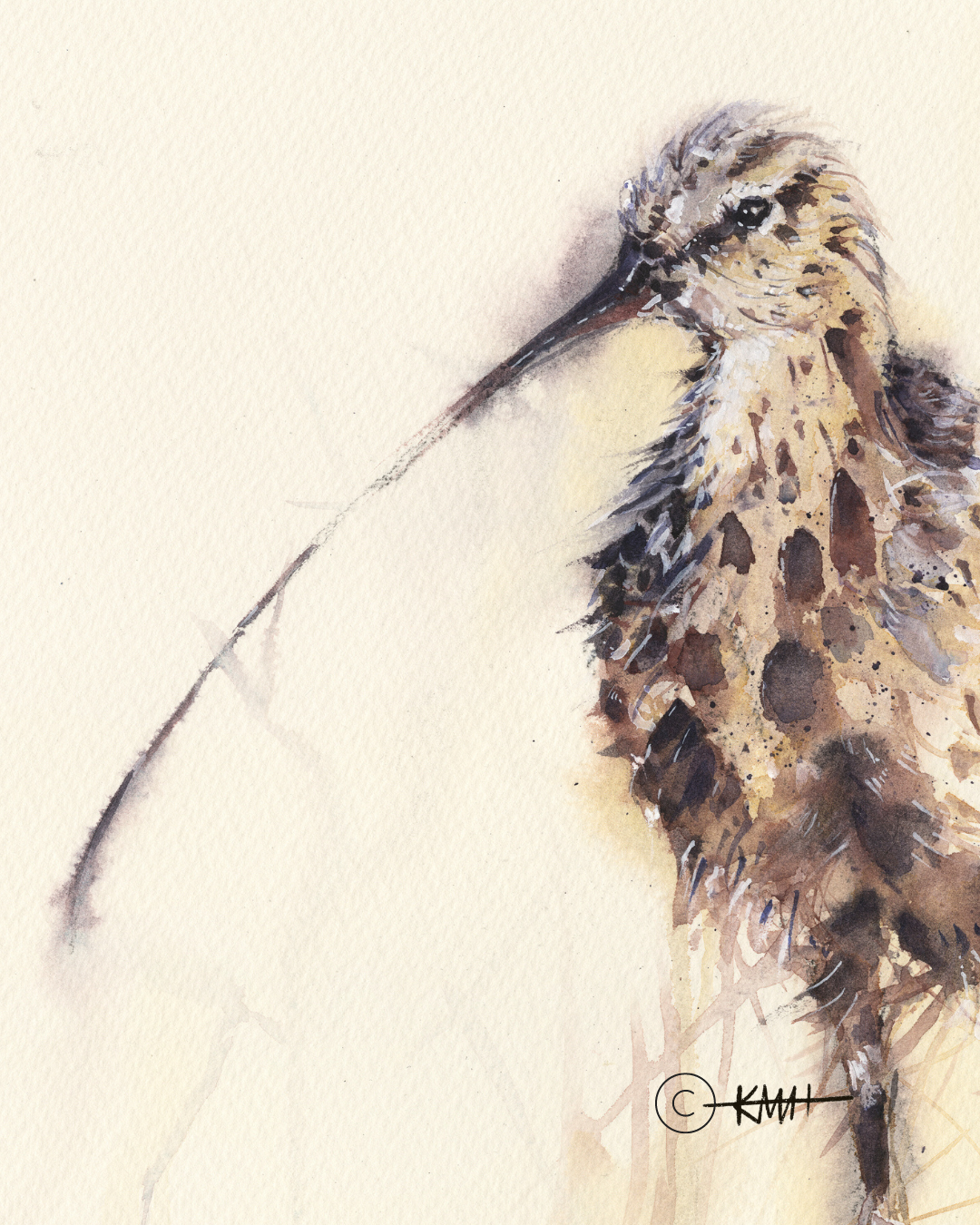 Fine Art Prints- LIMITED EDITION - 'Curlew grazing, North Berwick'