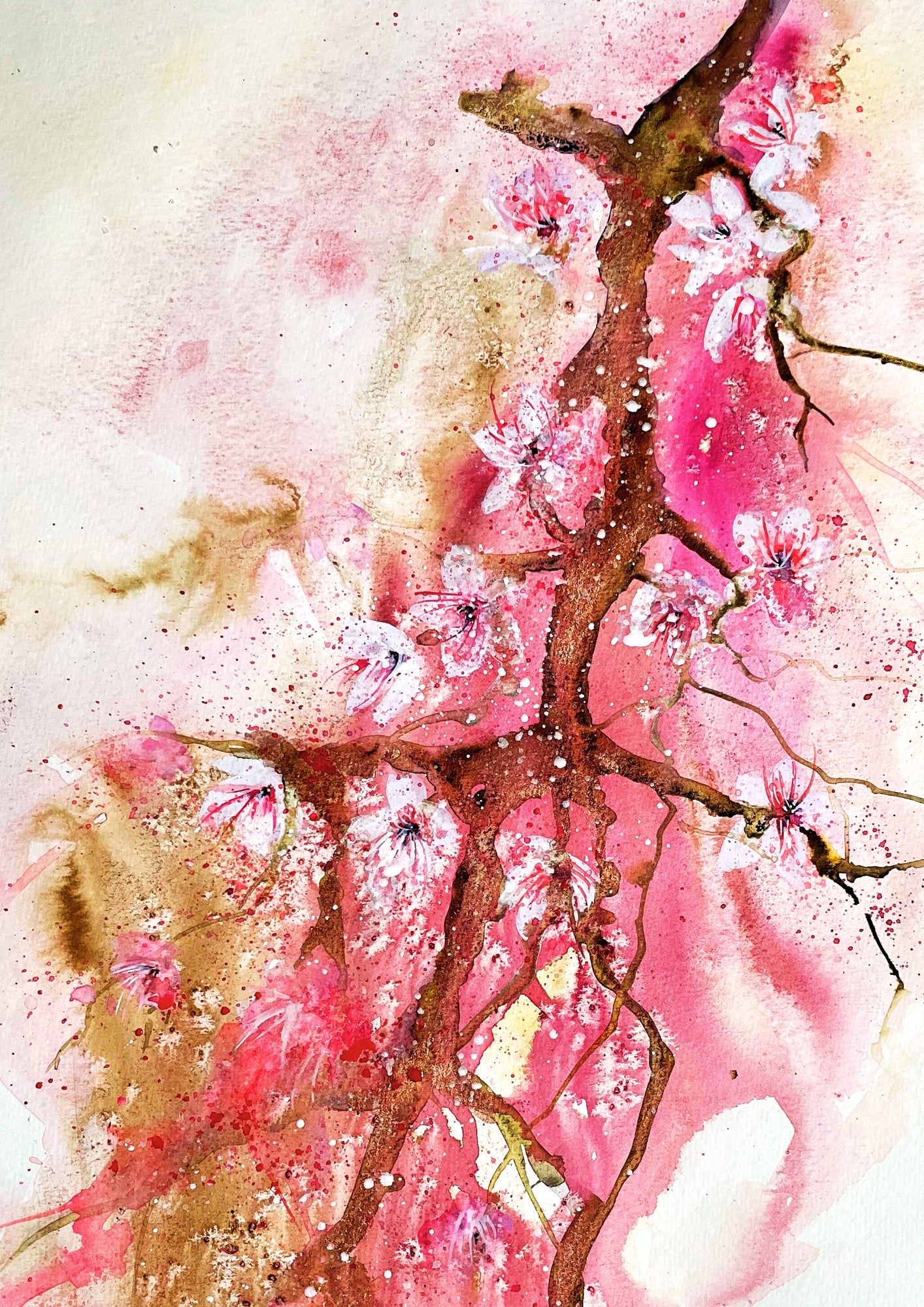 FEB - TUES EVENING - 6-Week Winter + Spring Block (Beginner-All Levels)