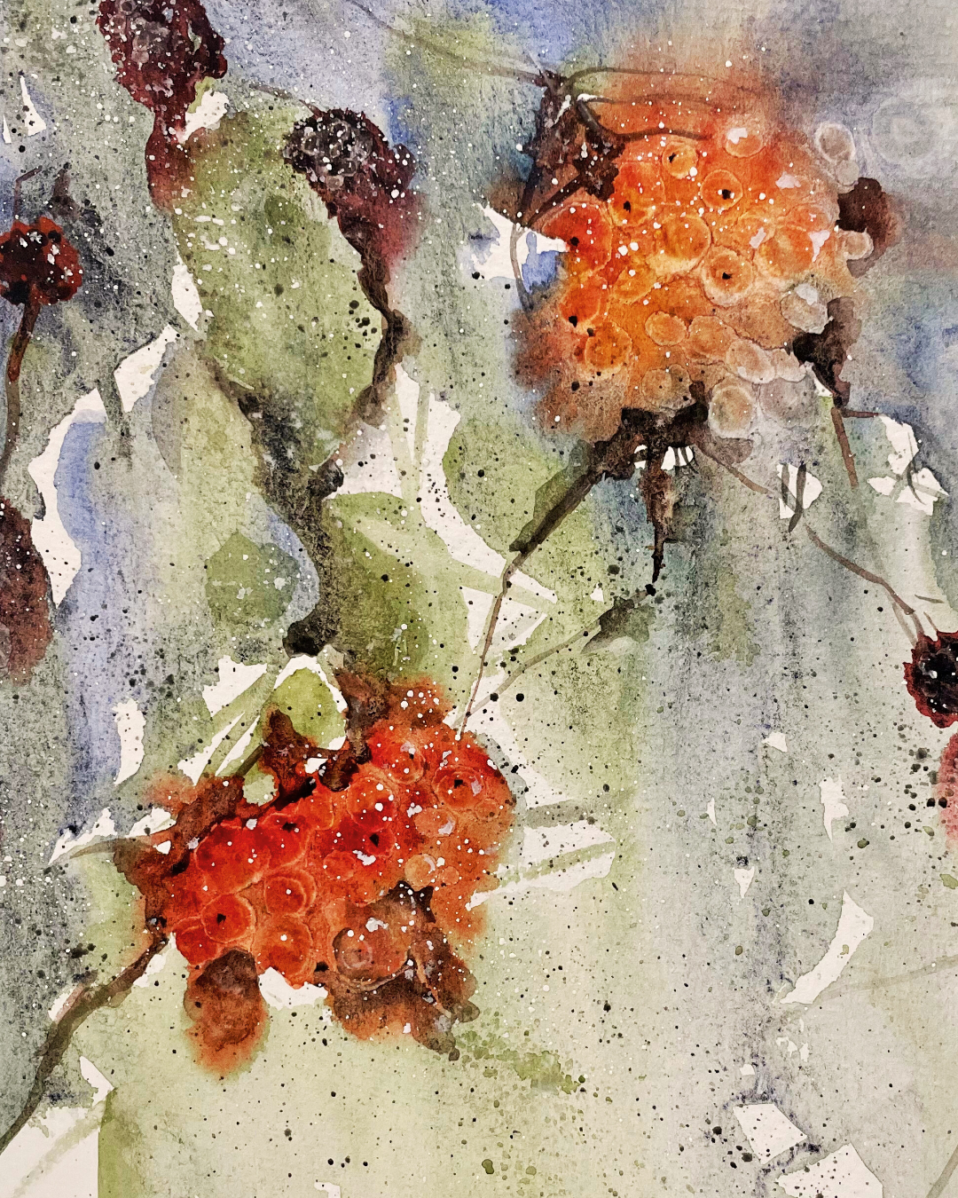 NOV - Sat 18th 2023 - Introduction to Watercolour Workshop, Gullane - Autumn Blooms & Berries (10:00)