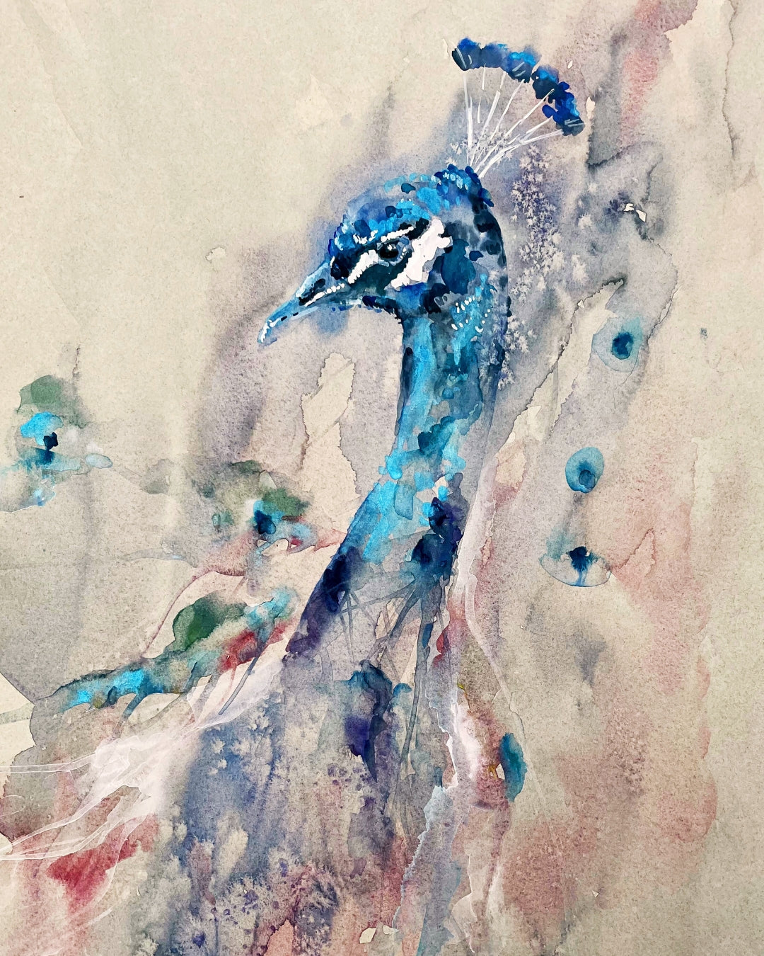 MAY 2026 - 16th / 17th - Atmospheric Peacock in Watercolour