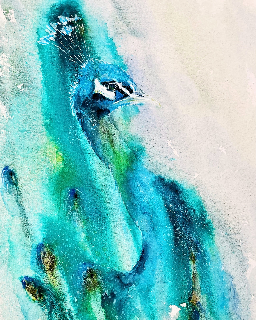 MAY 2026 - 16th / 17th - Atmospheric Peacock in Watercolour
