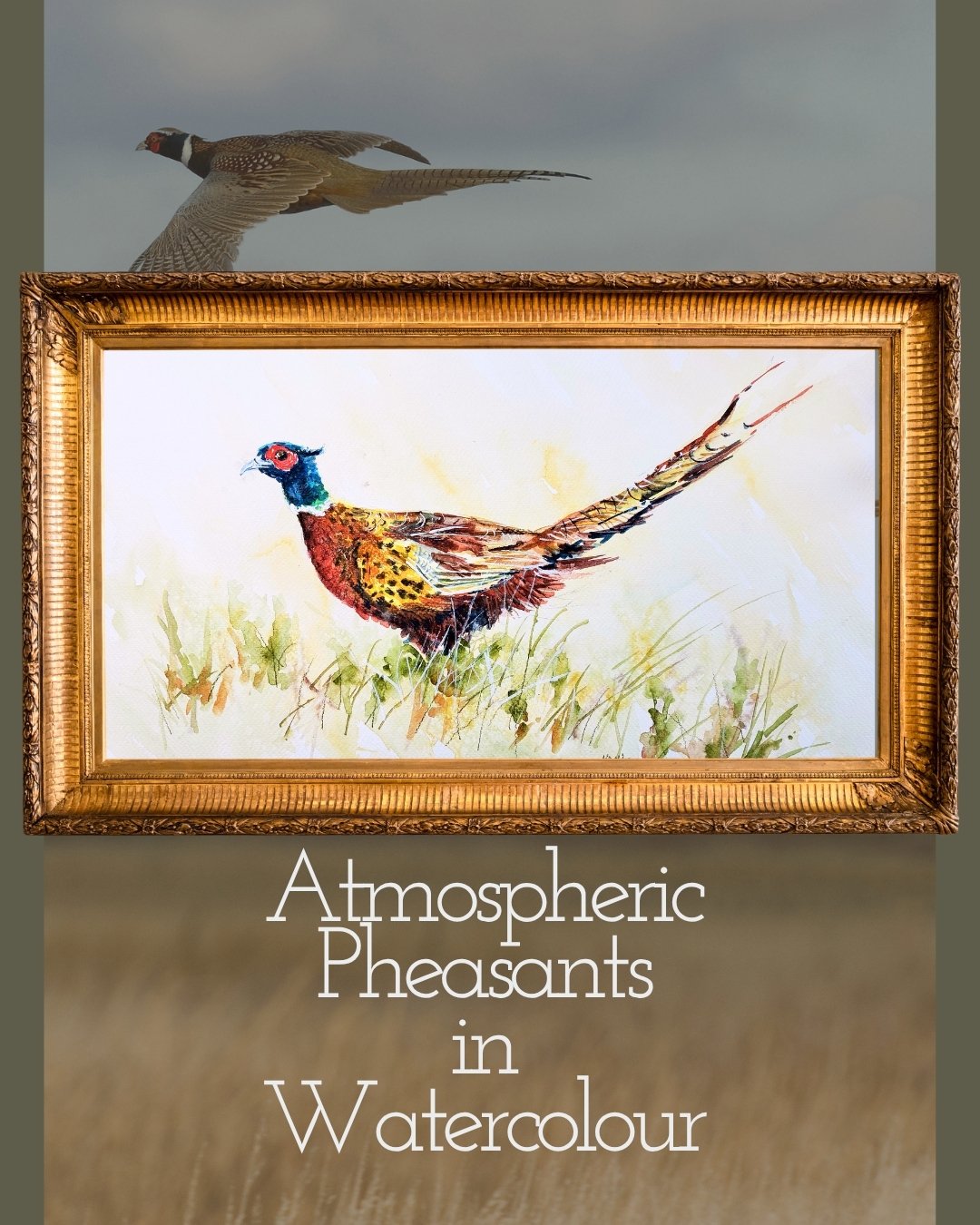 NOV - PHEASANT IN WATERCOLOUR - 14th + 15th Nov
