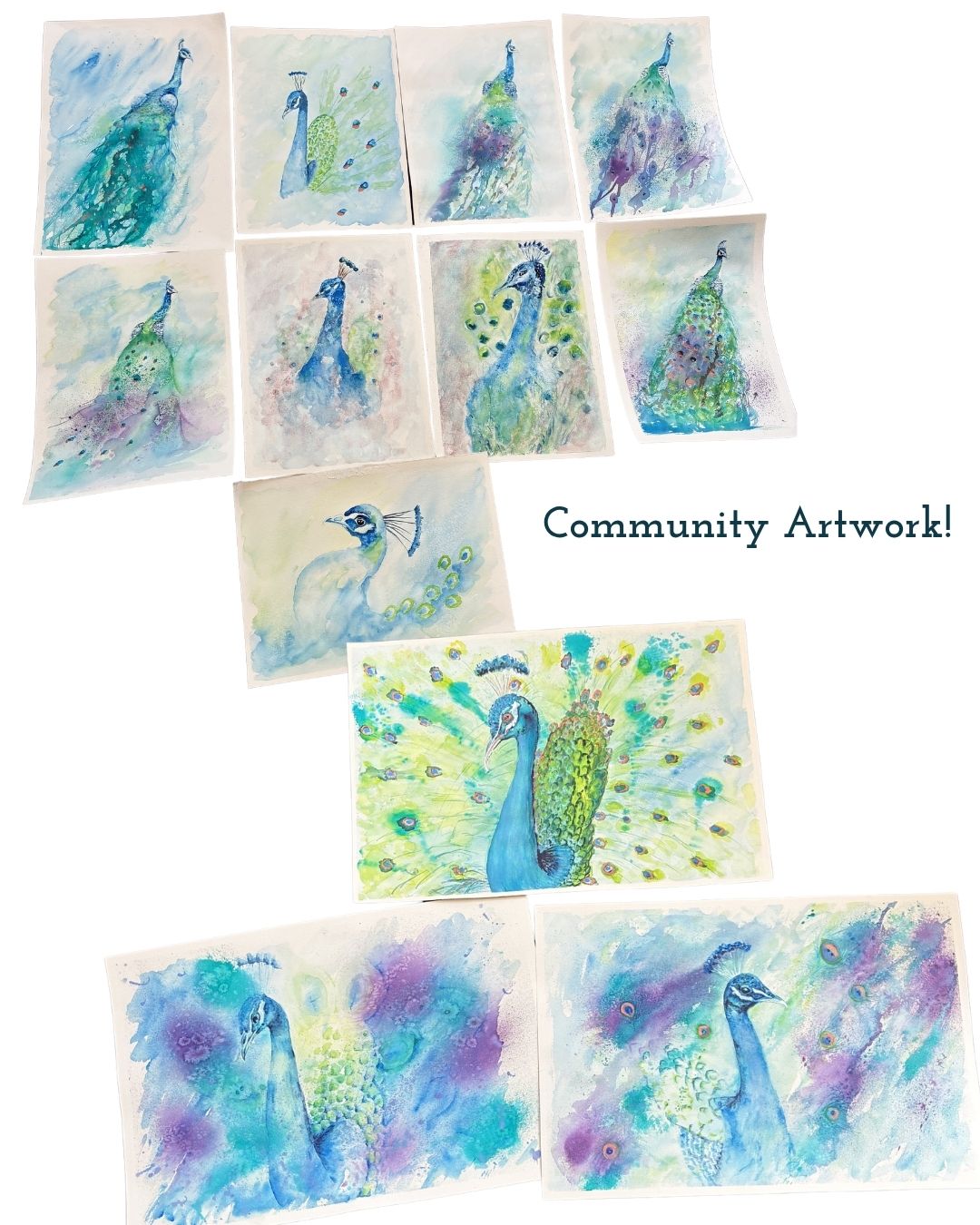 SEPT - PEACOCK IN WATERCOLOUR - 12th + 13th